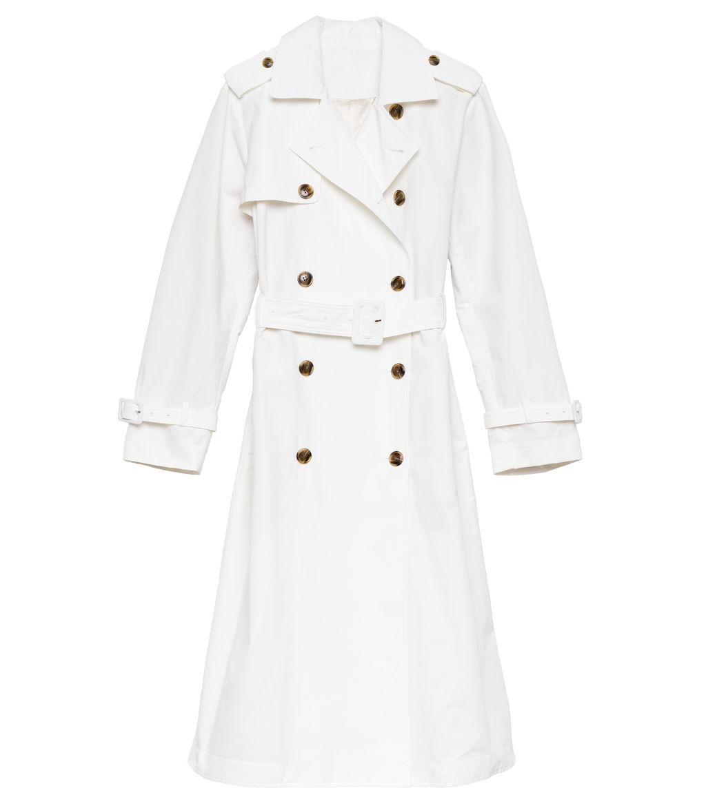 AMHERST TRENCH -- SALT